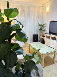 Blk 625A Woodlands Drive 52 (Woodlands), HDB 4 Rooms #502859531